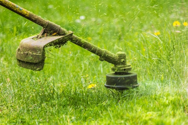 The Ultimate Guide to Year-Round Lawn Care in White Bear Lake, Minnesota