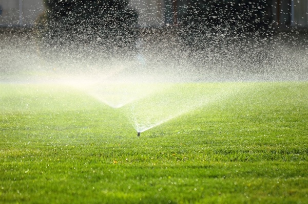 Lawn Watering Wisdom: How to Keep Your Lawn Green & Healthy