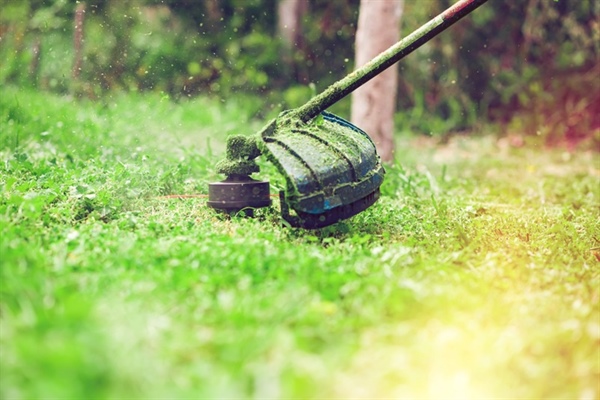 Seasonal Lawn Care Tips: Preparing Your Lawn for Each Season