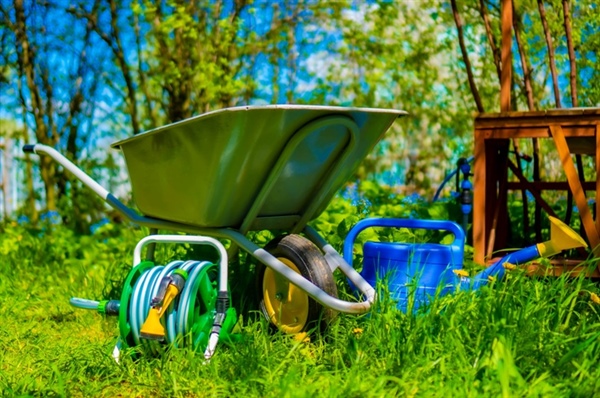 The Science of Lawn Hydration: When, How, & Why